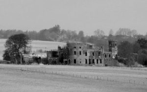 IMG_0354