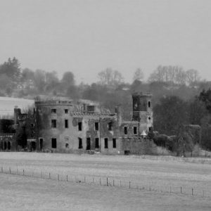 IMG_0354ff