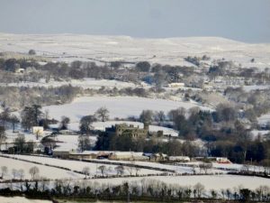 IMG_6441