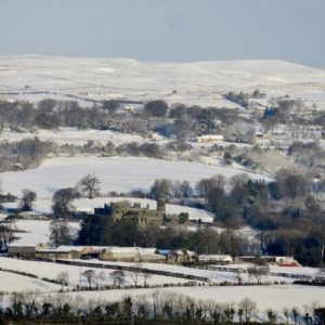 IMG_64415269453
