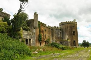 Lewis Photo 3