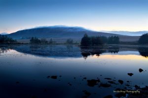 Mist on Agnew’s Hill